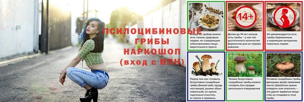дживик Абаза