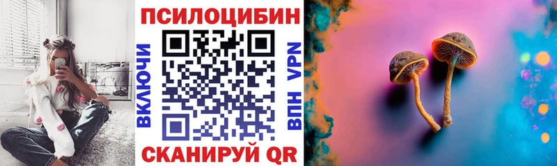 наркотики  Александровск  Псилоцибиновые грибы ЛСД 